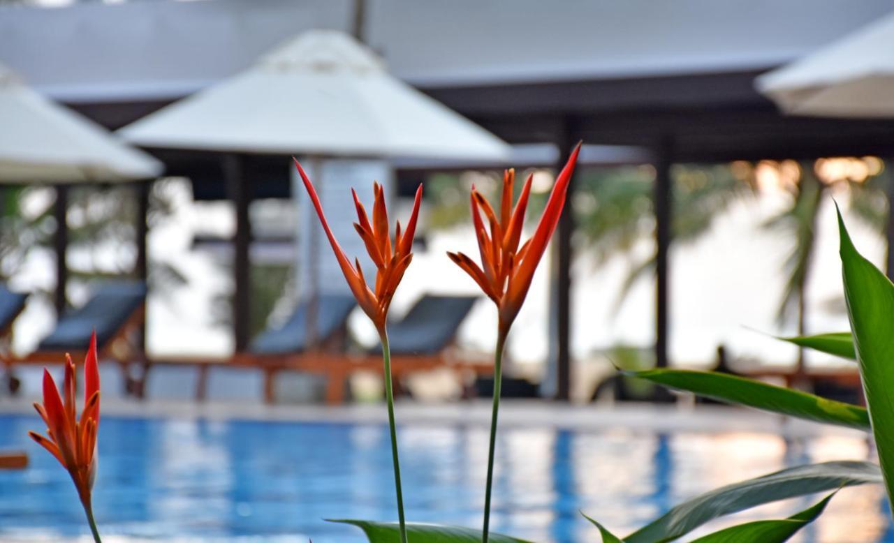 Goldi Sands Hotel Негомбо Экстерьер фото